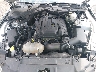 1FA6P8TH1K5****** Repairable 2019 Ford Mustang in Sayreville