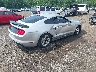 1FA6P8TH1K5****** Salvage and Wrecked 2019 Ford Mustang in New Jersey State
