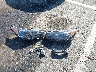 KMHT36AH6LU****** Destrozados 2020 Hyundai Veloster en Estado de Carolina del Norte
