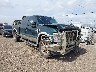 1FTSW2BR2AE****** Salvage and Wrecked 2010 Ford F-250 in McAllen
