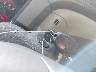 1GKKRNED4EJ****** Salvamento 2014 GMC Acadia en Estado de Luisiana