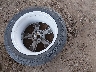 1G1RB6E46FU****** Wrecked 2015 Chevrolet Volt in Arizona State