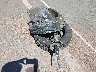 JTDS4MCE6T3****** Wrecked 2026 Toyota Corolla in Hawaii State