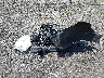 JM3KFBBM3K0****** Destrozados 2019 Mazda CX-5 en Estado de Massachusetts