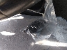 KMHGN4JE1FU****** Salvage 2015 Hyundai Genesis in California State