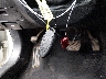 1N4AA6AP1GC****** Salvamento 2016 Nissan Maxima en Estado de Texas