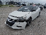 1N4AA6AP1GC****** Salvamento y Reparables 2016 Nissan Maxima en Estado de Texas