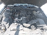 1ZVFT80N565****** Repairable 2006 Ford Mustang in Savannah