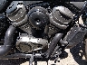 1HD1ZH12XRB****** Destrozados 2024 Harley-Davidson Nightster en Rec Rides Online Exclusive