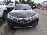1HGCR2F70HA****** Wrecked 2017 Honda Accord in North Carolina State