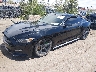 1FA6P8TH4G5****** Used and Repairable 2016 Ford Mustang in Albuquerque