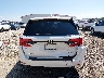 5FNRL6H90RB****** Wrecked 2024 Honda Odyssey