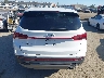 5NMS24AJ8PH****** Wrecked 2023 Hyundai Santa Fe