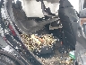 2HKRW1H85KH****** Wrecked 2019 Honda CR-V in Culpeper