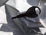 3N1CE2CP7EL****** Salvage 2014 Nissan Versa Note in New Jersey State