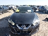 1N4AA6AP7GC****** Used 2016 Nissan Maxima in Texas State
