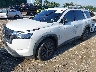 5N1DR3CD9SC****** Usados y Reparables 2025 Nissan Pathfinder en LI - East Yard