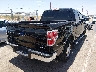 1FTEW1CM4EK****** Salvage and Wrecked 2014 Ford F-150 in Texas State