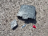 1FADP3F2XEL****** Wrecked 2014 Ford Focus in Hawaii State
