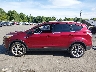 1FMCU9J97DU****** Repairable 2013 Ford Escape in Connecticut State