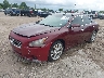1N4AA5AP1CC****** Used and Repairable 2012 Nissan Maxima in Houston
