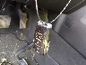 1C6SRFJT8KN****** Salvage 2019 RAM 1500 in Ohio State