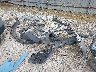 KL7CJPSB7HB****** Wrecked 2017 Chevrolet Trax in Ohio State