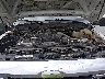 1FT7X2BT3DE****** Reparables 2013 Ford F-250 en Buckhannon
