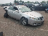 19UUA66248A****** Salvage and Wrecked 2008 Acura TL in Englishtown