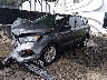 1FMCU0F78KU****** Usados y Reparables 2019 Ford Escape en New Castle