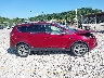 1FMCU9J99EU****** Usados 2014 Ford Escape en Estado de Kentucky