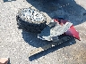 1FAHP2F82EG****** Wrecked 2014 Ford Taurus in North Carolina State