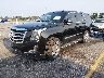 1GYS4BKJ4KR****** Usados y Reparables 2019 Cadillac Escalade en Lexington