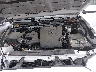 3TYRZ5CN1PT****** Reparables 2023 Toyota Tacoma en Austin