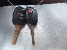 2T3RFREV1HW****** Salvage 2017 Toyota RAV4 in Ohio State