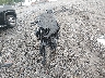 JKBZXJJ13SA****** Used and Repairable 2025 Kawasaki ZX636 in West Virginia State