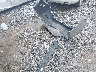 1G1BE5SM8H7****** Destrozados 2017 Chevrolet Cruze en Estado de Pennsylvania