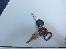 1G2ZG57N694****** Salvage 2009 Pontiac G6 in Wisconsin State