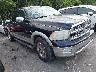 1D3HB13T89J****** Salvamento y Destrozados 2009 Dodge Ram 1500 en Greensboro