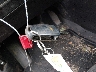 1G1PG5SC5C7****** Salvamento 2012 Chevrolet Cruze en Estado de Luisiana