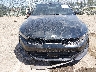 5XXG64J29MG****** Salvamento y Reparables 2021 Kia K5 en Estado de Kansas