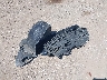 5YFBURHE0KP****** Wrecked 2019 Toyota Corolla in Texas State