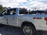 1FTEW1E48KK****** Reparables 2019 Ford F-150 en Estado de Mississippi
