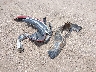 2GNAXJEV2L6****** Wrecked 2020 Chevrolet Equinox in Texas State