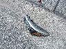 5J8TC1H30LL****** Wrecked 2020 Acura RDX in Florida State