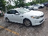 5XXGT4L3XGG****** Salvage and Wrecked 2016 Kia Optima in West Palm Beach