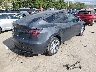 5YJYGDEE7LF****** Salvamento y Destrozados 2020 Tesla Model Y en Estado de New Hampshire