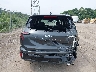 5XYP5DGC7RG****** Destrozados 2024 Kia Telluride