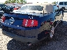 1ZVBP8ENXA5****** Salvage and Wrecked 2010 Ford Mustang in Kansas State