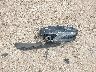 4T1DAACK2SU****** Wrecked 2025 Toyota Camry in Texas State